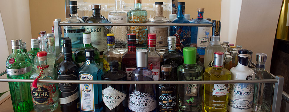 Our selection of gin and tonics